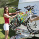 Дишло Carri-Bike Caravan XL A Pro 136/493