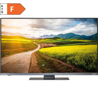 TFT LED телевізор Oyster® TV 21,5" FR 70 067