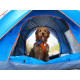 Quick Pitch Tent Olpro Pop Tent FR 072/030