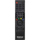 Приймач HD Stick 310 V2