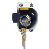 Doorsich.Renault 2010 року випуску