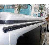 Multi Rail Renault Trafic KR 2015 р.в. справа чорний